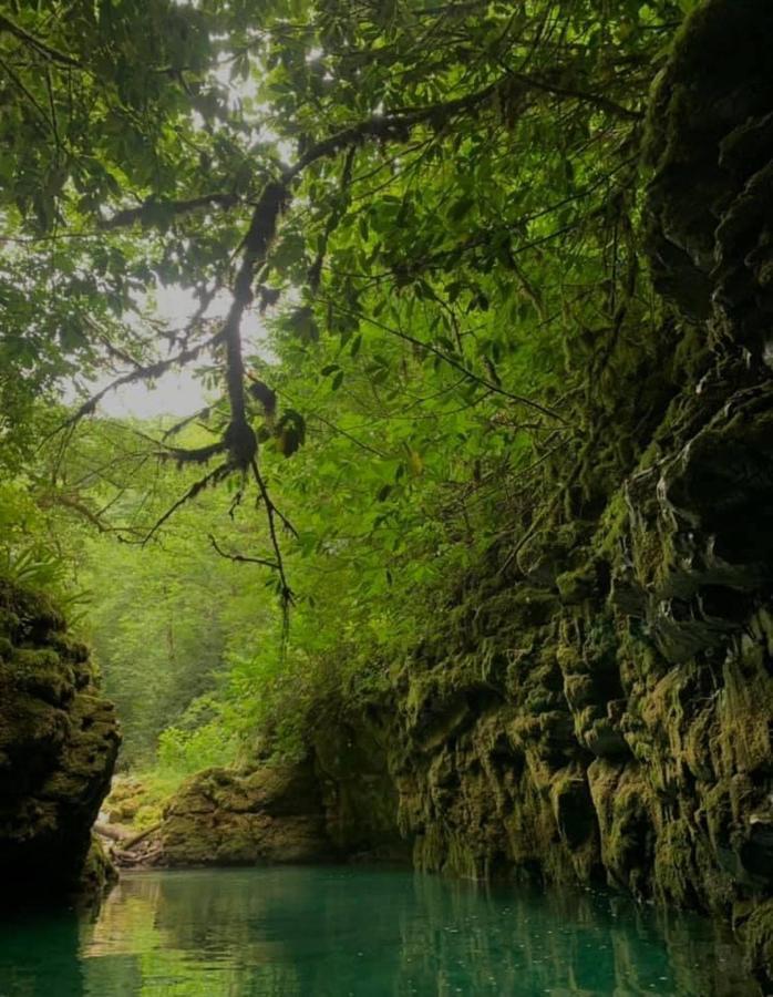 Nahei Cottage Martvili Εξωτερικό φωτογραφία