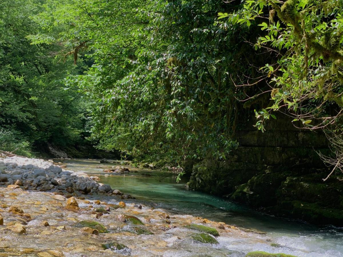Nahei Cottage Martvili Εξωτερικό φωτογραφία